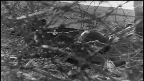 The Battle of San Pietro (1943) | World War II