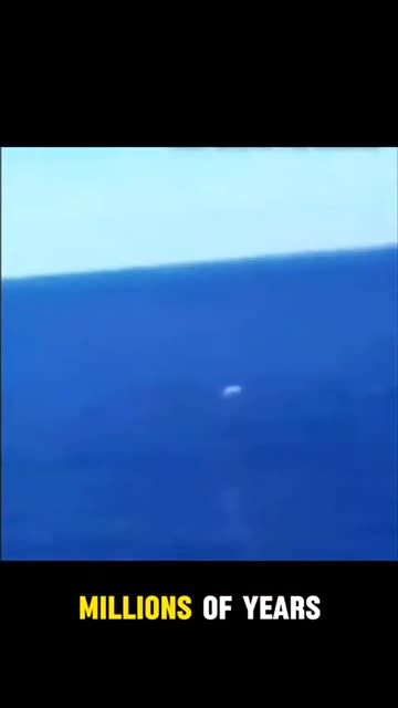 They Didn’t Come From the Stars… They Came From the Sea 🌊🛸