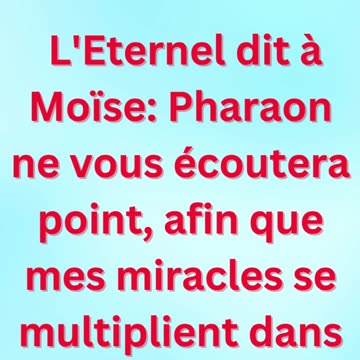 « La parole de Moïse au peuple » exodus 11:9 #shortvideo #shorts #youtube #youtubeshorts #ytshorts