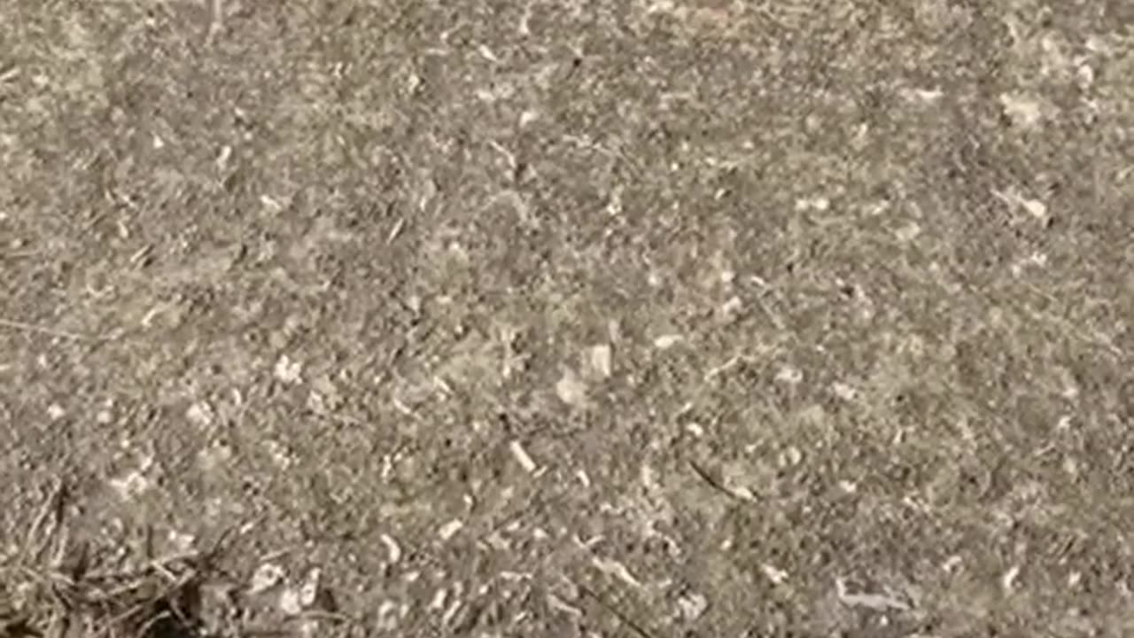 BigT vs CYRAXX - LIVE in Akron, OH 5⁄7⁄25 (BQ)