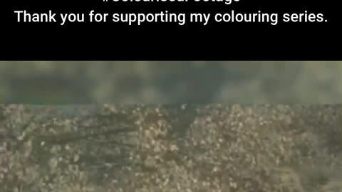 British Marksmen Test Their Camouflage Skills #ColourisedHistory