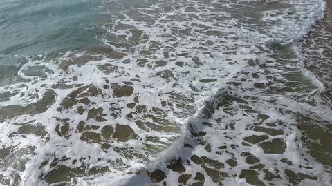 Snorkeling at Playa Córcega Rincón, Puerto Rico