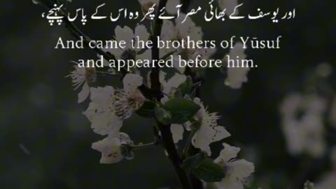 🔥Surah Yusuf 12 58🌾سورة يوسف🌌✨#quran #shorts #viral #youtubeshorts #love #trending #shortvideo #live