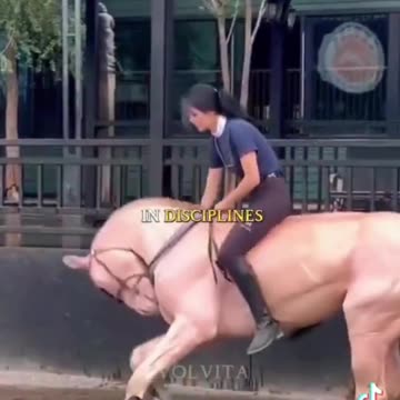 G'night fam. Check this out!!!! The Akhal-Teke: