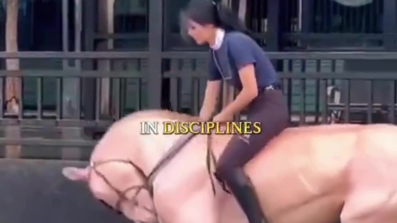 G'night fam. Check this out!!!! The Akhal-Teke: