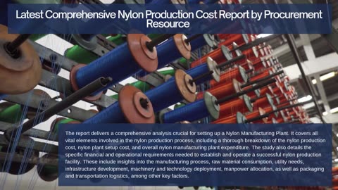 Nylon Production Cost Analysis