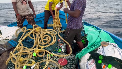 Meereszauber Thunfischangeln in Singapur #SingapurAngeln #Thunfischfischen #StadtundMeer