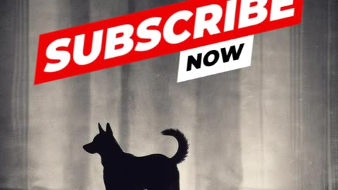 The Dog Beater Lies.