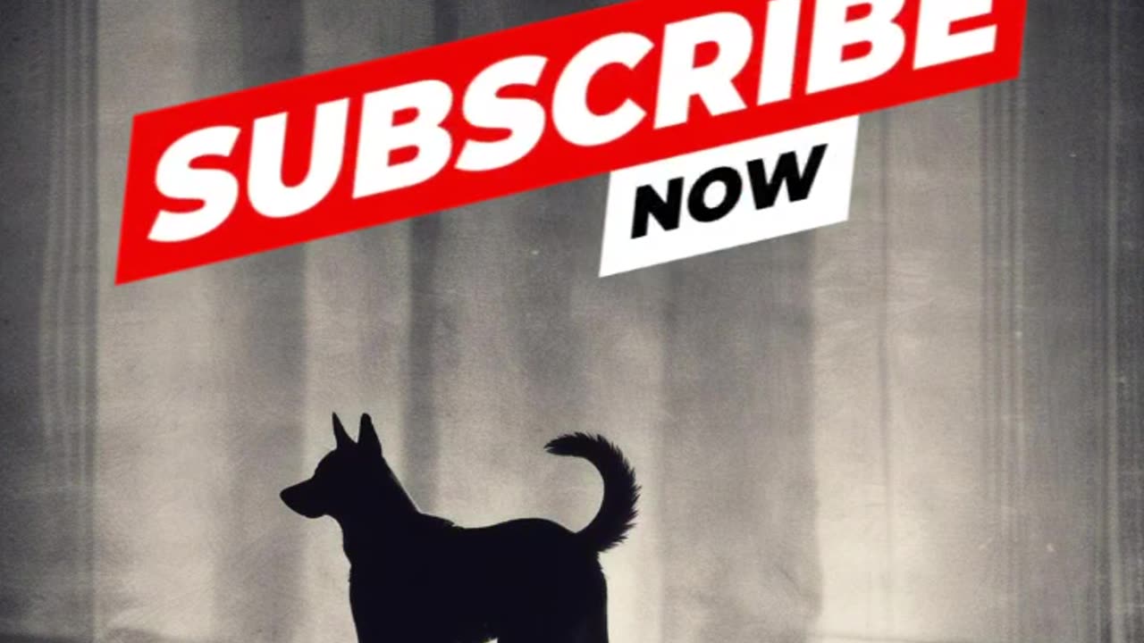 The Dog Beater Lies.