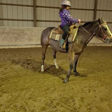 Starting to teach the spin!