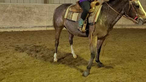 Starting to teach the spin!