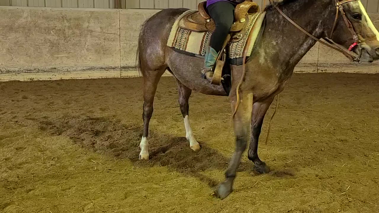 Starting to teach the spin!