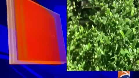 First heatwave of May expected to grip most parts of country this week Breaking News