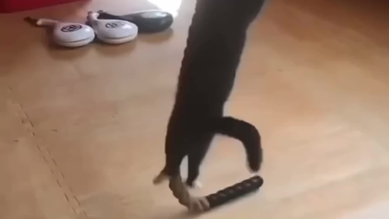 Bond…..Cat Bond