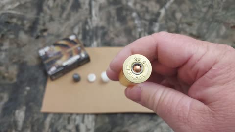 Federal's Truball, 20 gauge rifled slugs in magnum shells for light skinned big game