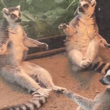 What is going on here? 😂