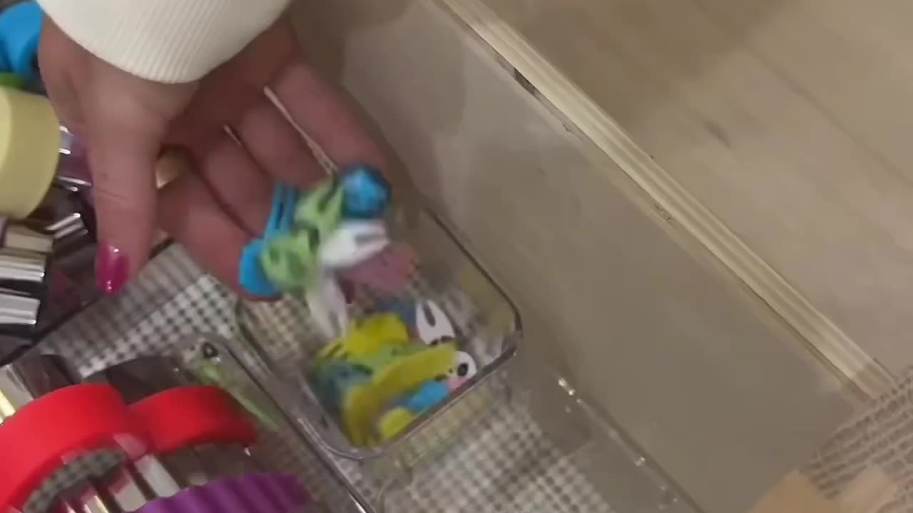 asmr school lunch organization