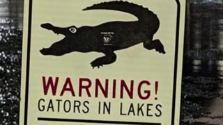 The Current Situation