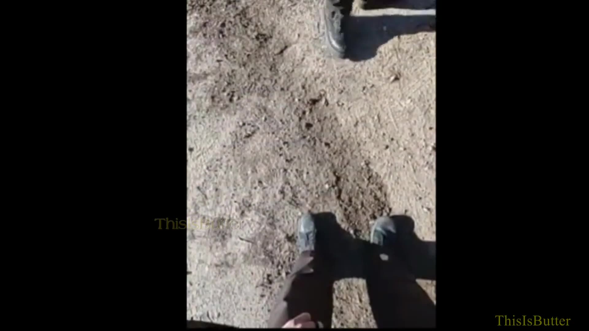 Clearwater County Deputy fatally shoots Dennis Hoie, who fired off a flare gun after a pursuit