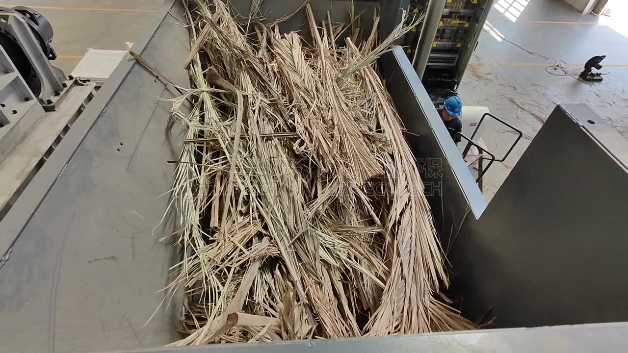 Revolutionizing Palm Waste: Double Shaft Shredder in Action!