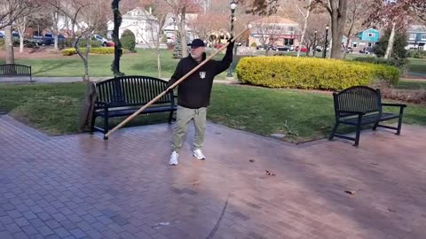 MCM Wing Chun 6th section long pole