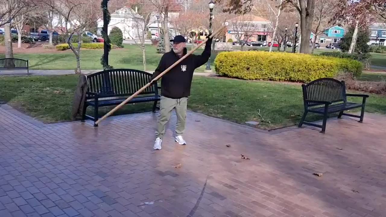 MCM Wing Chun 6th section long pole