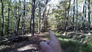 Scouting For Deer_Recon 10-13-2025