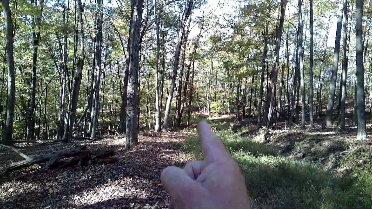 Scouting For Deer_Recon 10-13-2025