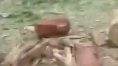 💪🌿 Myanmar War | NFTA and Allies Seize Weapons, Capture Junta Personnel in Myaing Township | RCF