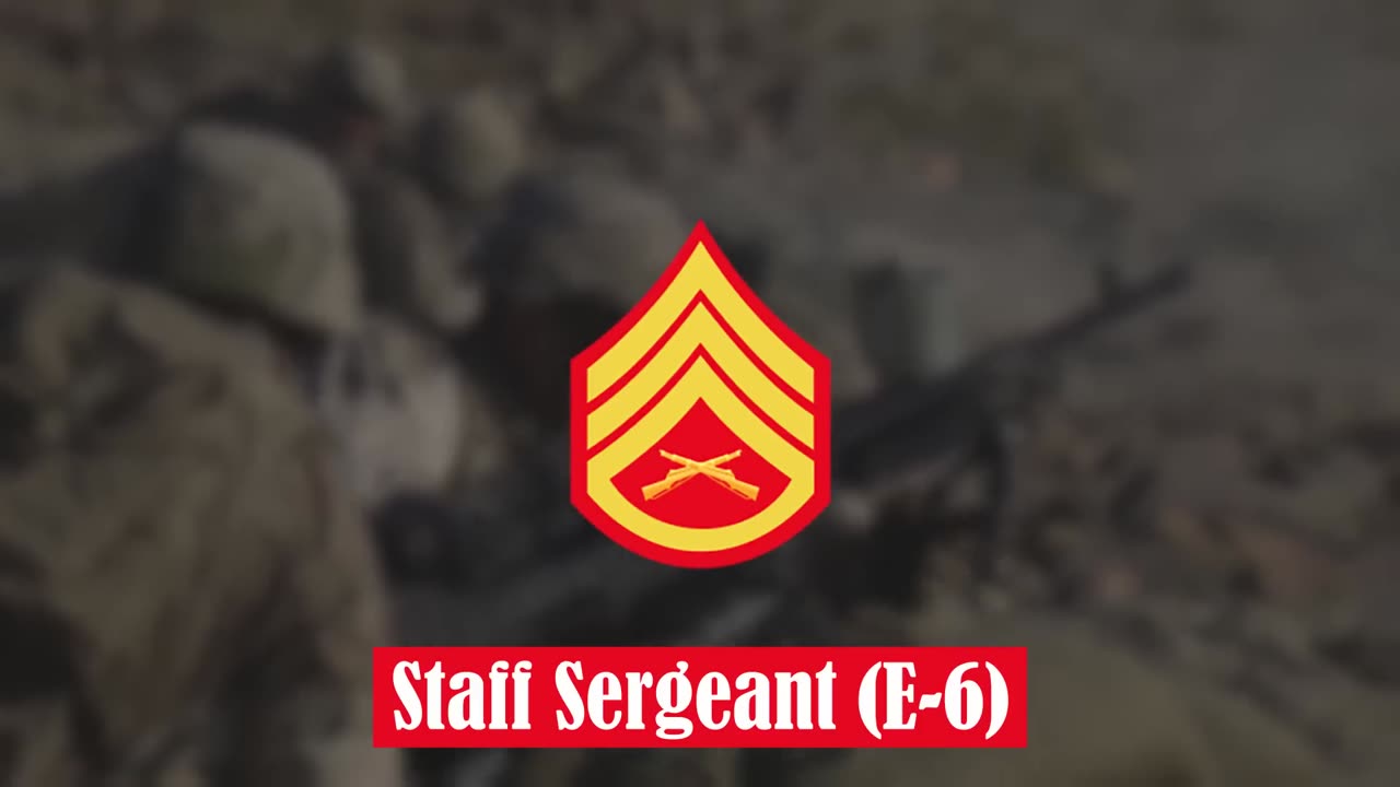 U.S. Marine Corps Ranks in order