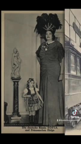 A Little Bit About Giants