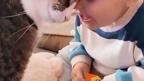 funny vedeos