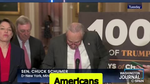 Chuck Schumer Roasted