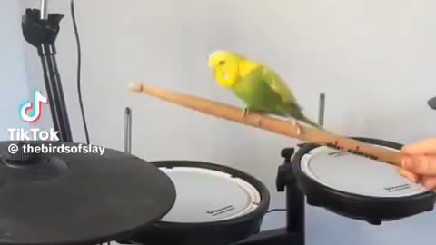 Jam Session