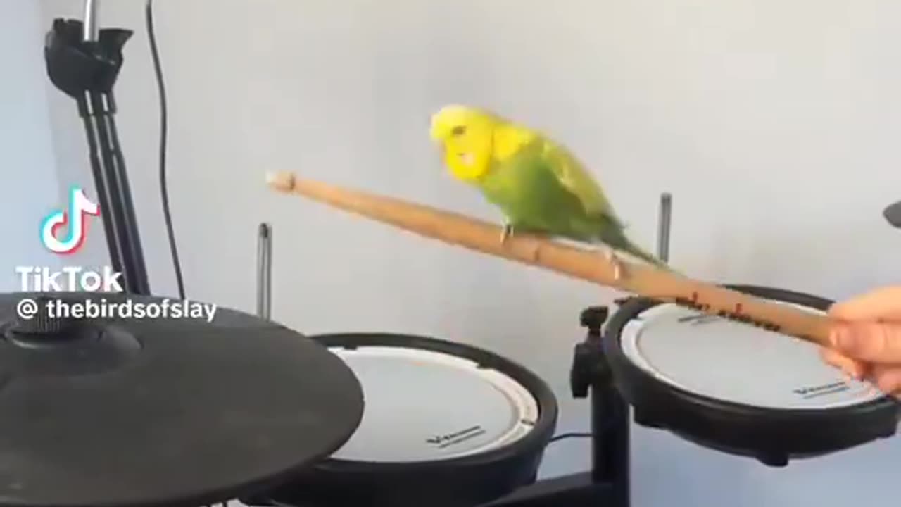 Jam Session