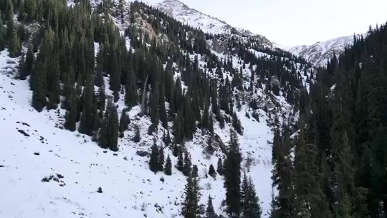 Saving a Forgotten Cabin in the Mountains