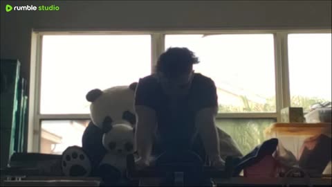 Panda entertainment 🐼