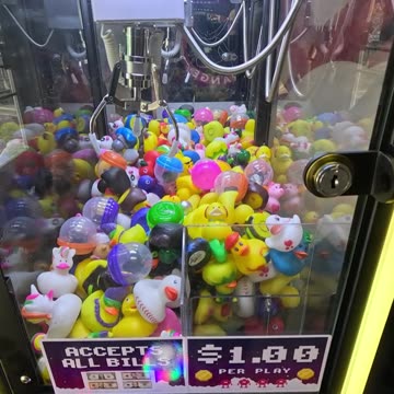 Five Dollar Claw Machine Challenge