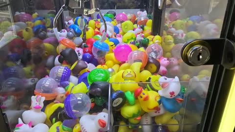 Five Dollar Claw Machine Challenge
