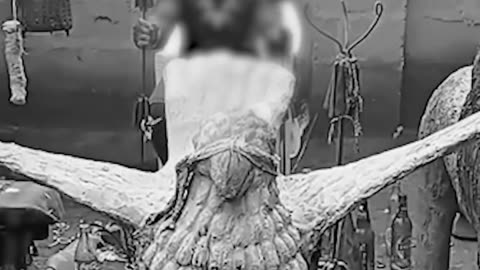 Afrikan Spiritual Power