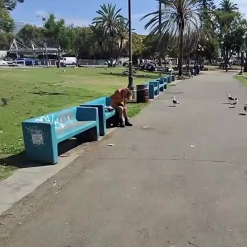 This is What Democrats Want to ‘Preserve’