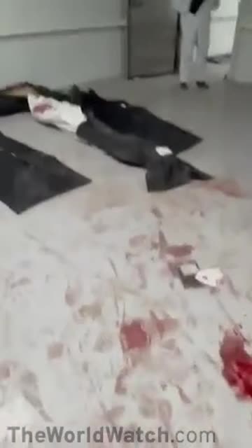 warning graphic⚠️ More footage of massacred Iranians