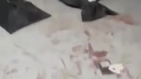 warning graphic⚠️ More footage of massacred Iranians