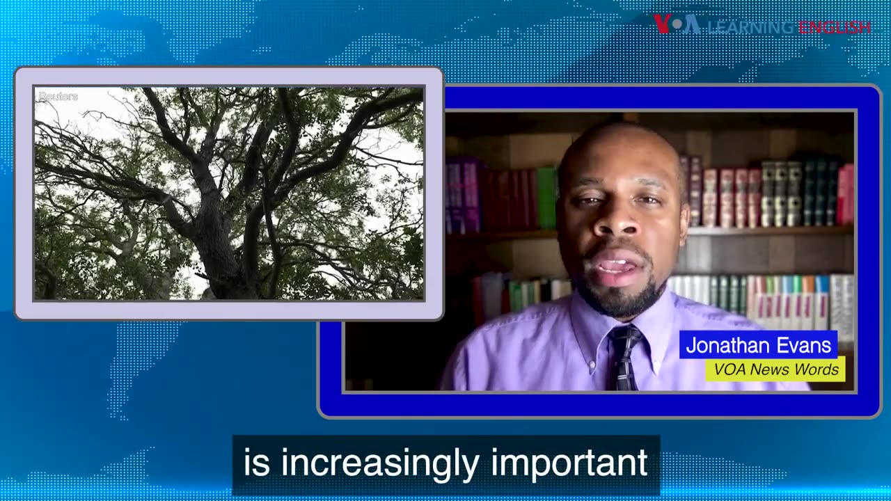 News Words: Immune System