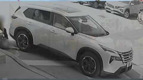 Foreign national charged in violent Richmond Hill robbery of elderly woman, 2 suspects at large