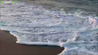 Sunrise Beach Walk