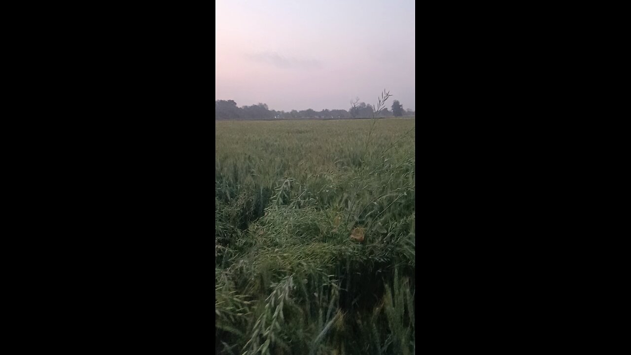 A Day in an Indian Village | Life Without Technology ❤️"