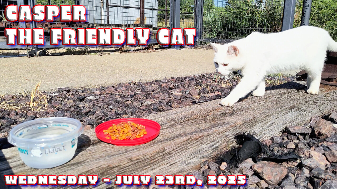 Casper The Friendly Cat - July 23rd, 2025