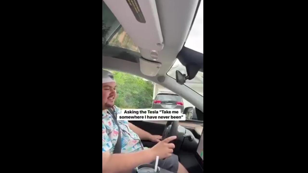 Tesla: "Take Me Somewhere I've Never Been Before" 🤣 Way Too Funny