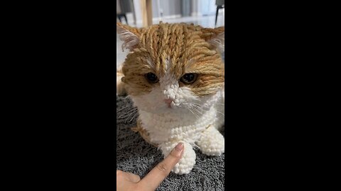 😺